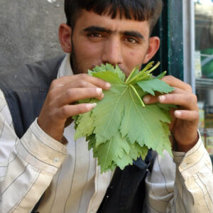 ورق عنب