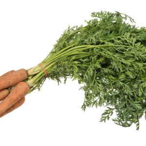 جزر